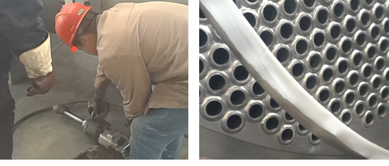 1513589863230306.jpg 2.jpg